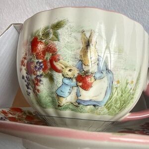 Beatrix Potter The World Of Peter Rabbit Teacup Saucer Set Brand New